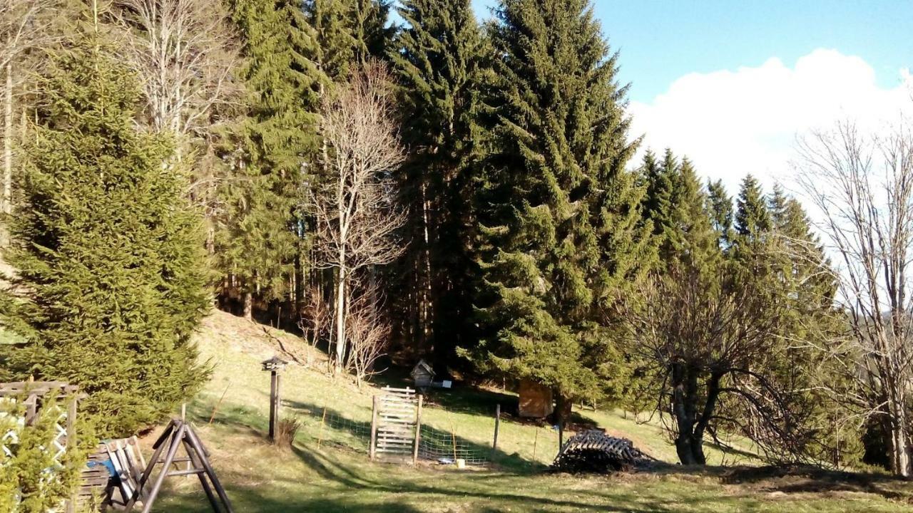 Gaestehaus Fridolin 克里格拉赫 外观 照片
