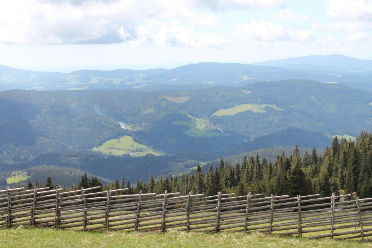 Gaestehaus Fridolin 克里格拉赫 外观 照片